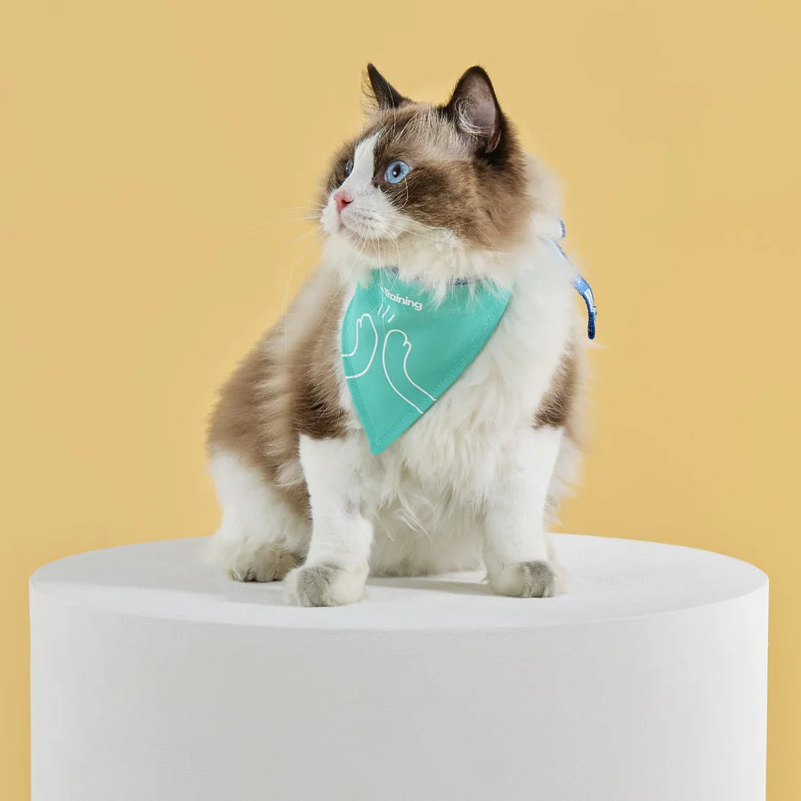 Pet Bandana - ByteStudio (Physical)