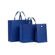 Gift Bag-ByteStudio (Virtual)