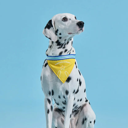 Pet Bandana - ByteStudio (Physical)