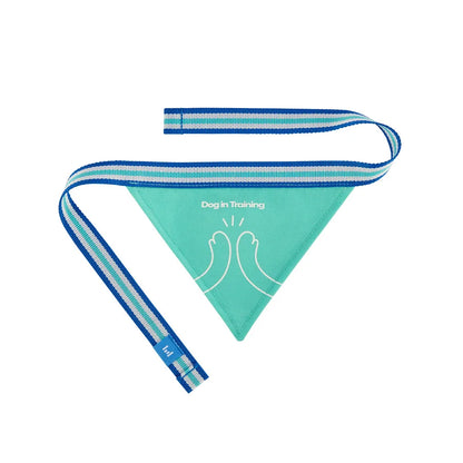 Pet Bandana - ByteStudio (Physical)